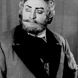 Большой человек с большим голосом - НОВАТ - фото №9